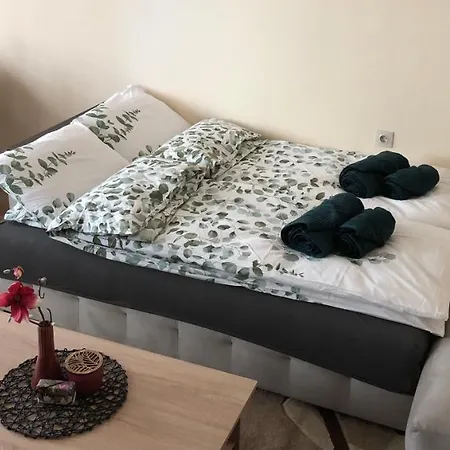 Luxury 2 Free Underground Secure Parking شقة بازارجيك