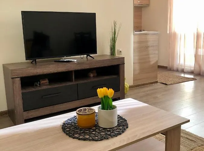 Luxury 2 Free Underground Secure Parking * Pazardsjik