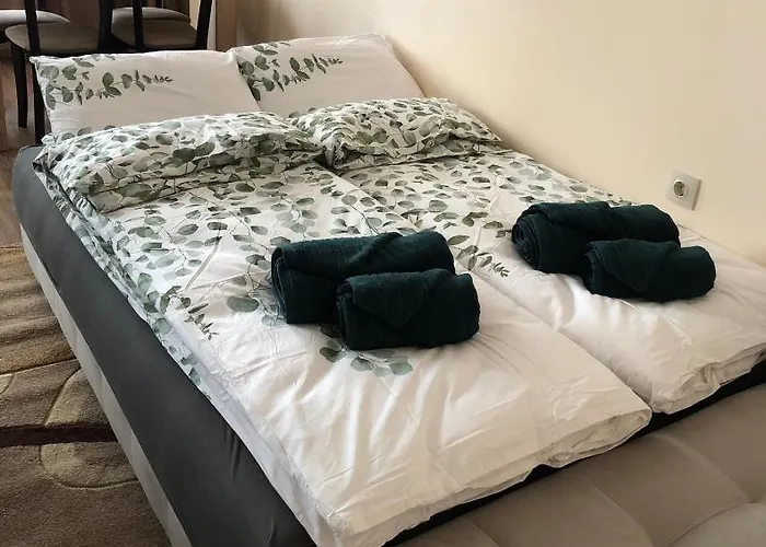 Luxury 2 Free Underground Secure Parking * Pazardsjik